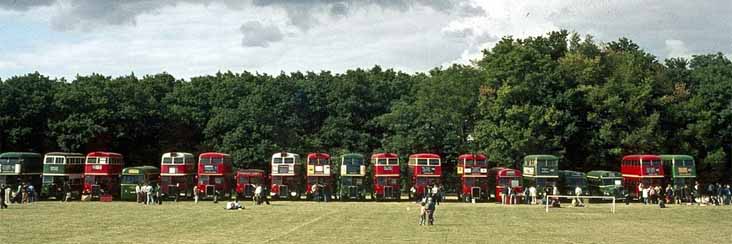 Showbus 75 London buses